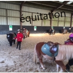 equitation